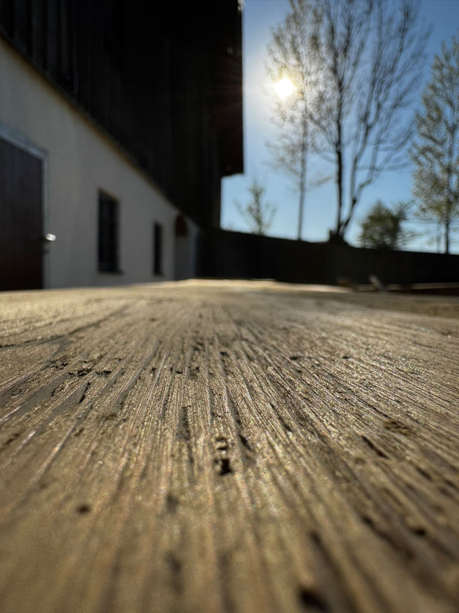 Low-angle shot of weathered wood grain under bright sunlight with trees and a building background.