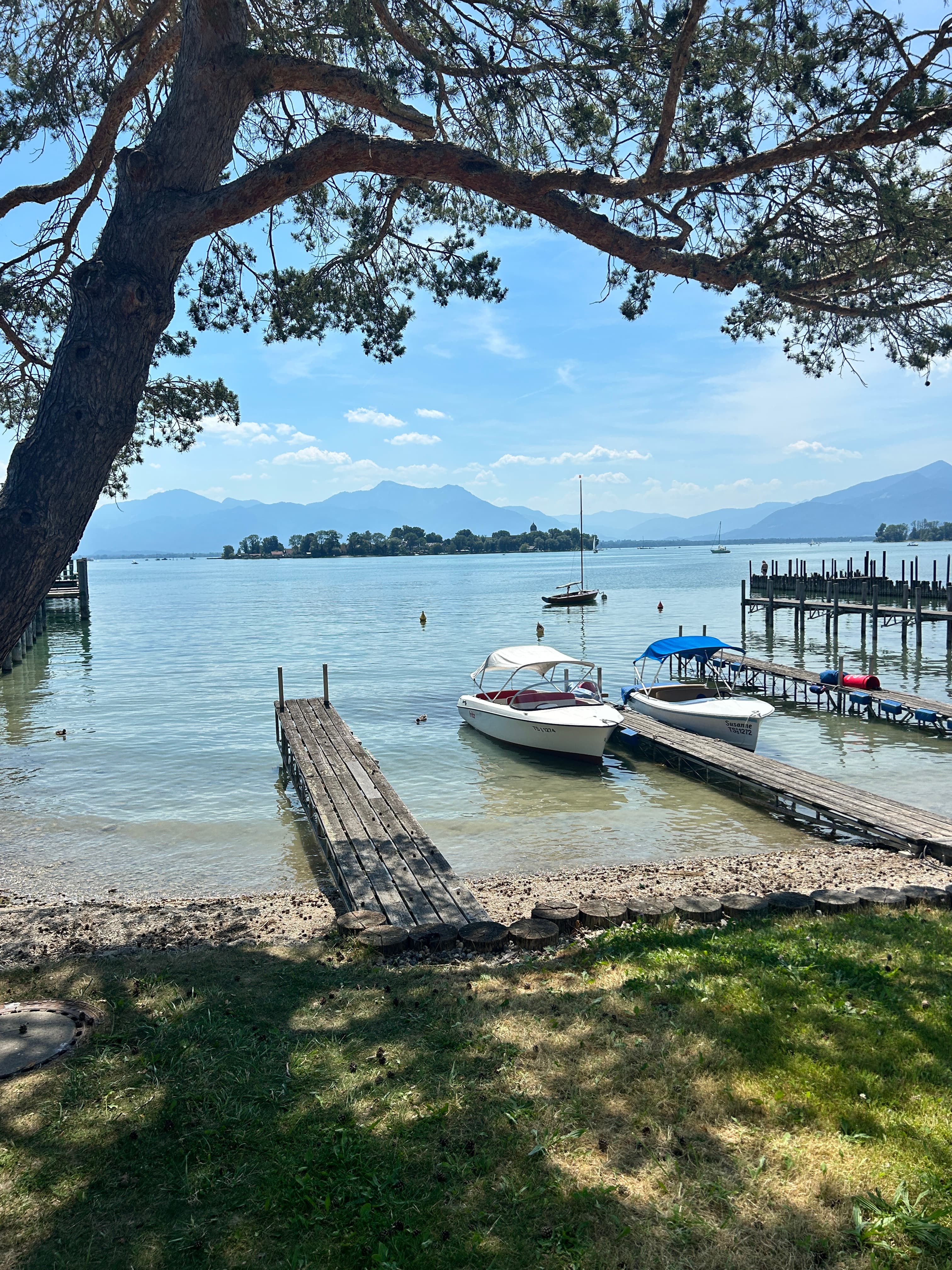 Two motorboats docked on a serene lake with distant mountains, framed by a large tree.